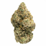 Donkey Butter (AAAA)