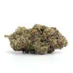 Elmer's Glue(AAA+)