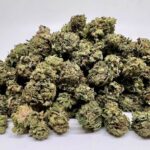 AA small buds- Bubba Kush