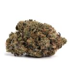 Pink Tuna(AAA)