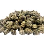 AAA Popcorn Buds- Gary Payton