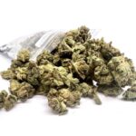 Bruce Banner Small Buds (AA)