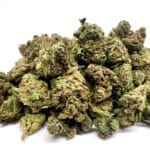 Papaya(AA+)