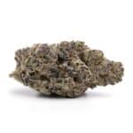 Donkey Butter Breath(AAA+)(Small Buds)