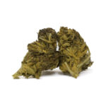 Alien OG(AA)