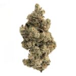 Cheetah Piss by Bonzai Boyz(AAAA+)(Super Quad)