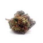 Chocolope(AAA)