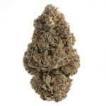 Gas Face 2.0 by Bonzai Boyz(AAAA+)(superquad)