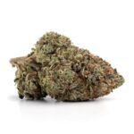 Pre-98 Bubba Kush Strain