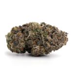 Purple Rhino (AAA+)