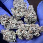 Milk Bone by Prohibition Farms(AAAA+)(Superquad)