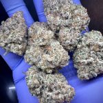 Yuzu Minth by Prohibition Farms(AAAA+)(Superquad)