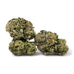 Pink Gas (AAA) (Medium Buds)