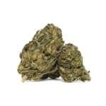 Purple Kush AA