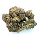 Apple Fritter(AA)