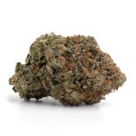 Chocolope (AAA)