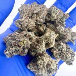 Insane OG by Prohibition Farms(AAAA+)(Superquad)