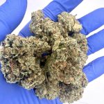 Where My Kush Cake by Prohibition Farms(AAAA+)(Superquad)