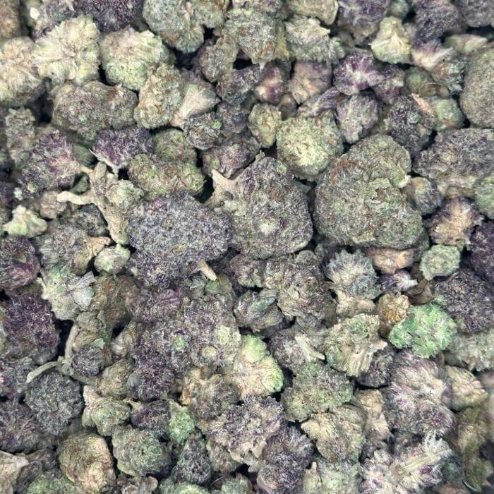 AAA popcorn buds- White Cherry OG AAA popcorn buds- White Cherry OG - Image 1