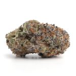 Gelato 45 (AAAA)