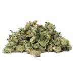 Alaskan Thunder Fuck( AA)