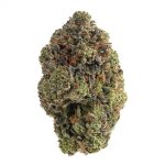 High Octane by North King Farms (AAAA)