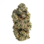 Pinepaya (AAAA) by North King Farms (Living Soil Organic)