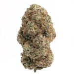 Red Congo (AAAA) by North King Farms (Living Soil Organic)
