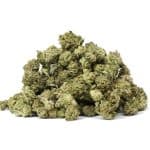 Moby Dick Popcorn - (AAAA)
