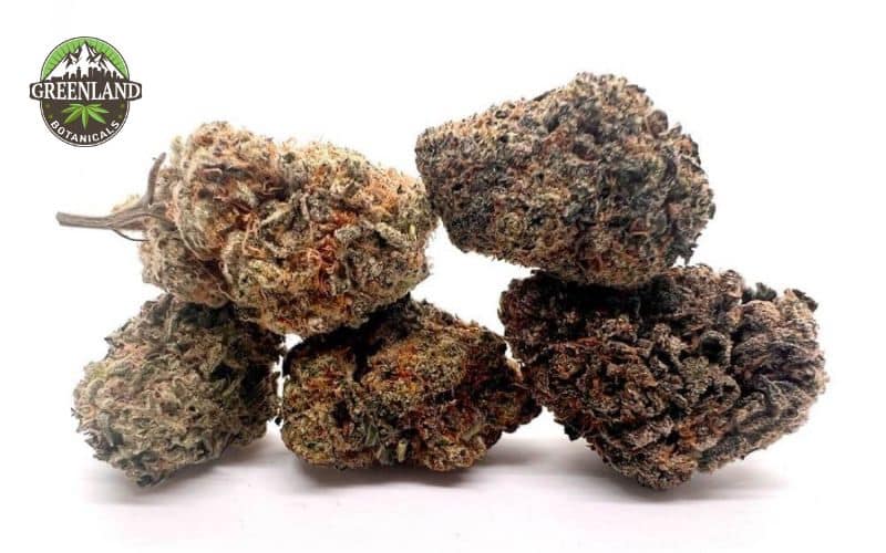 Bud Salad (AAA+): A Smart Choice for Quality Cannabis at Greenland Botanicals