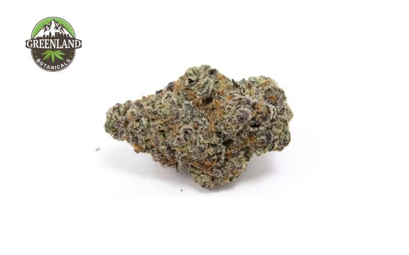 How to Choose the Right Weed for Your Needs