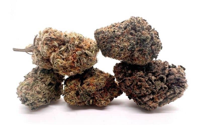 Bud Salad (AAA+)