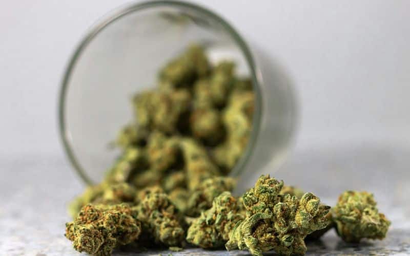 Buy Weed Online in Canada