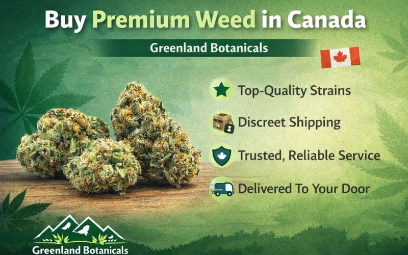 Buy Premium Weed in Canada