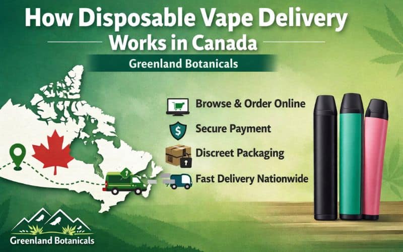 How Disposable Vape Delivery Works in Canada