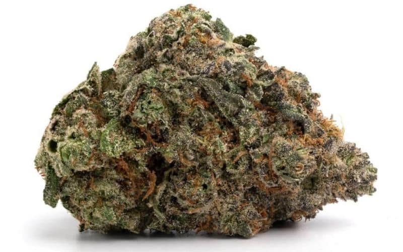 Lemon Skunk (AAA)