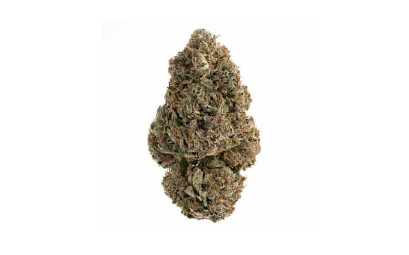 Pink Death Star (AAAA): A Premium Craft Flower Worth Experiencing