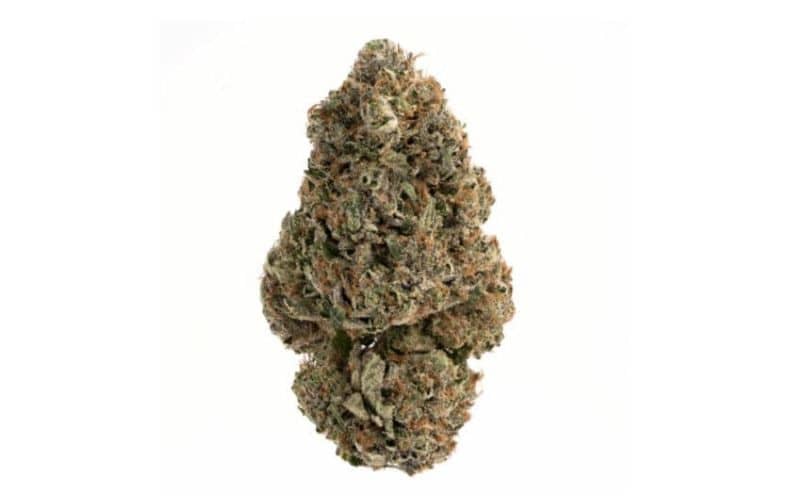 Why Premium (AAAA) Cannabis Is the Best Choice for Canadian Consumers