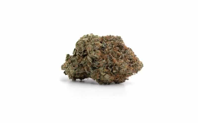 Buy Weed Online in Canada Under $99