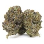 Tropicana Cherry popcorn buds (AAA+)