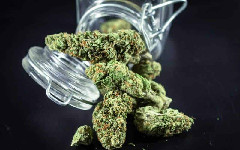 Weed Delivery in Toronto Fast, Safe & Reliable Cannabis at Your Doorstep