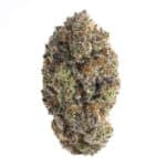 Skittlz (AAAA)