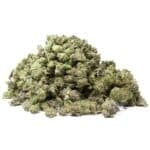 OG Shark Smalls(AAA+)