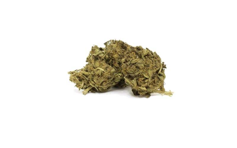 Gorilla Glue #4 (AA)